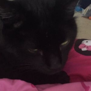 Meet your Posher, Sharon